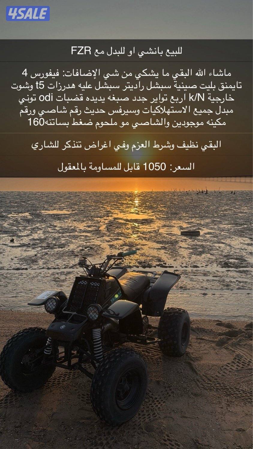 للبيع بانشي مديل 20040