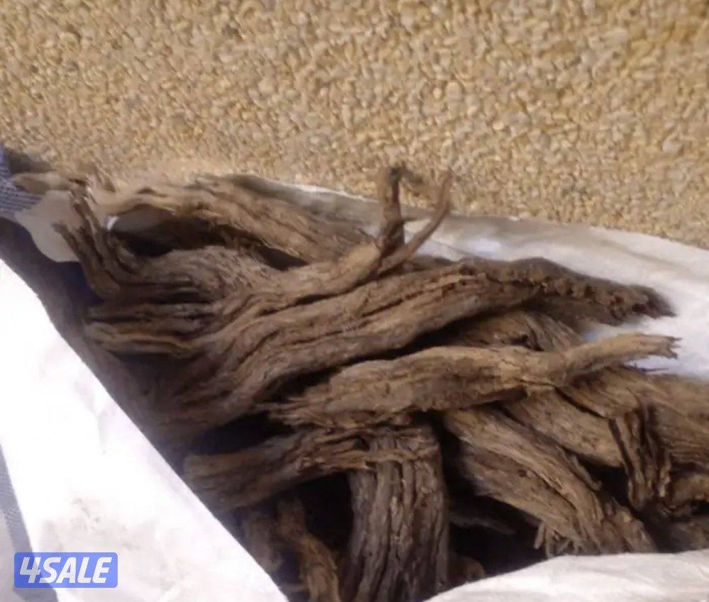 حطب رمث سعودي1