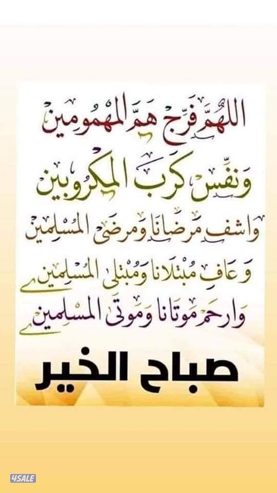 مدرس لغه عربيه وتربيه اسلاميه ومحفظ للقران الكريم وتعليم القراءه والكت1