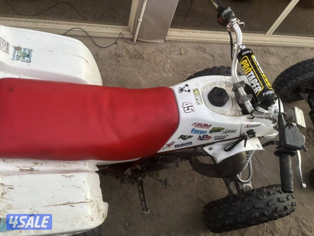 ياماها بلاستر 2504