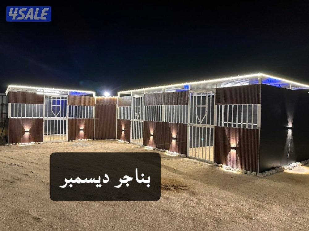 تفصال هنقر بناجر مصاب بادوك افضل الأسعر افضل جوده بناجر ديسمبر0