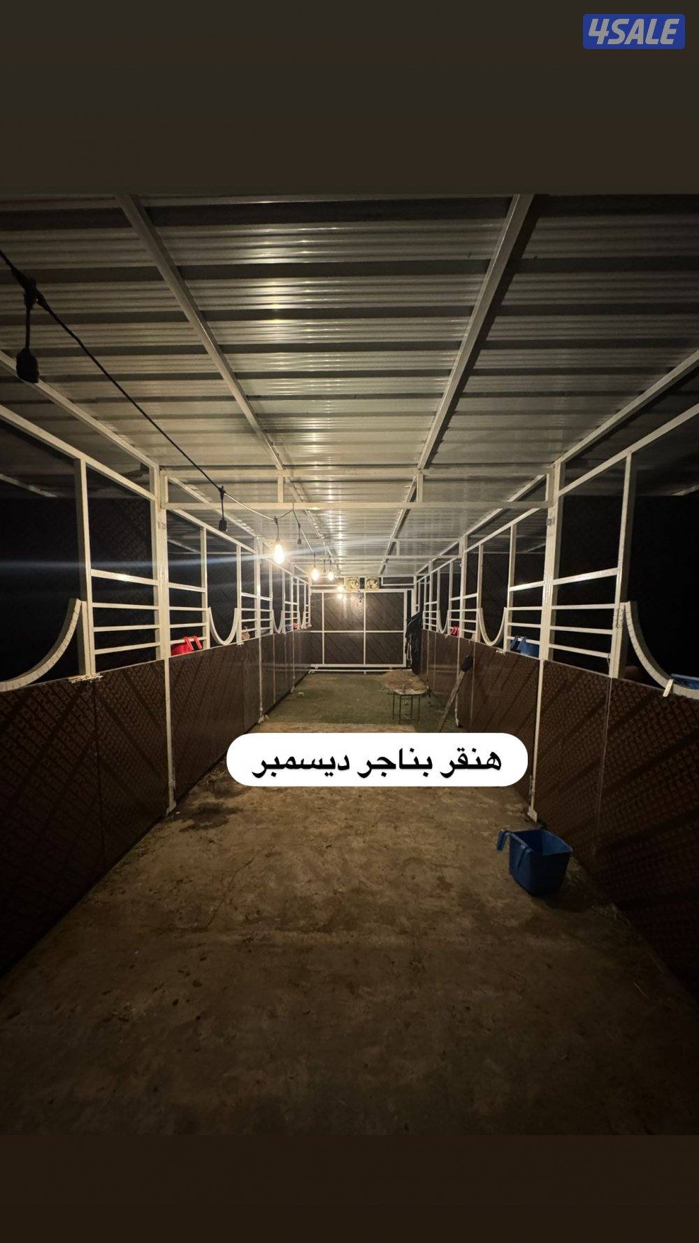 تفصال هنقر بناجر مصاب بادوك افضل الأسعر افضل جوده بناجر ديسمبر1