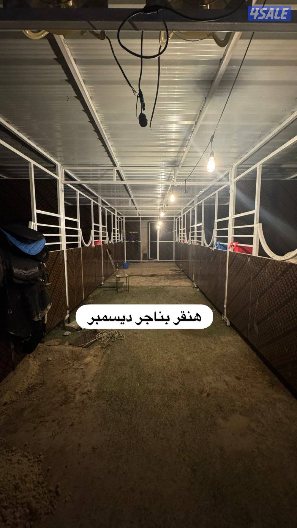 تفصال هنقر بناجر مصاب بادوك افضل الأسعر افضل جوده بناجر ديسمبر2