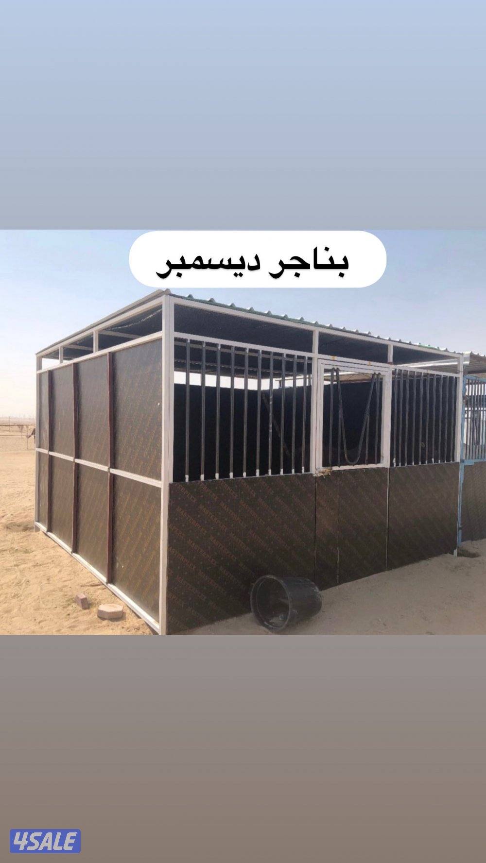 تفصال هنقر بناجر مصاب بادوك افضل الأسعر افضل جوده بناجر ديسمبر6