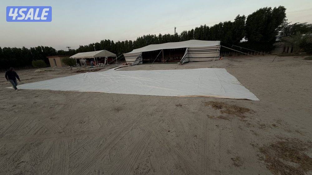 للبيع بيت شعر الماني أبيض مع مدخن وفرش كامل وطربال3