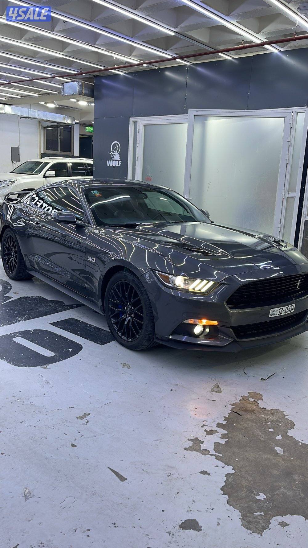 موستنق 2015 صبغ الوكاله شاصي جيد2