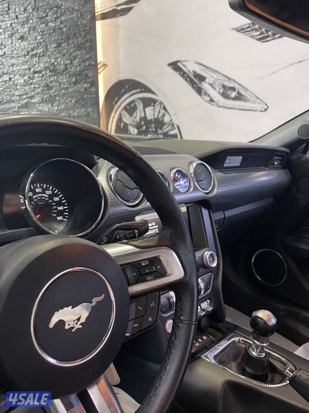 موستنق 2015 صبغ الوكاله شاصي جيد3