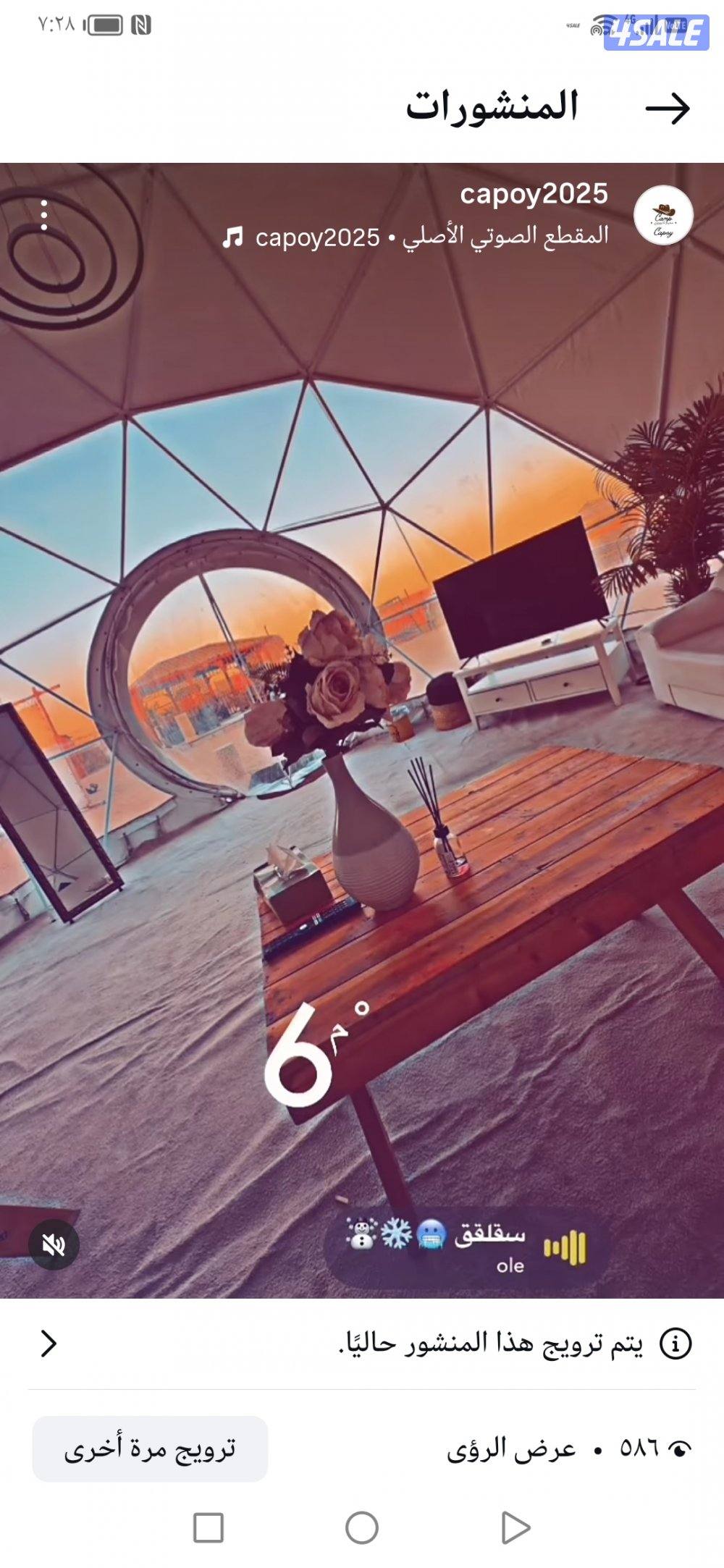 كشته كابوي ام الهيمان 🏕️🤠🐯❤️🇰🇼12