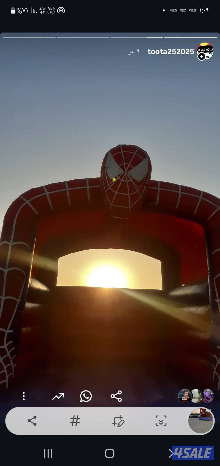 مخيم توته النسائي🌹🦌😘10