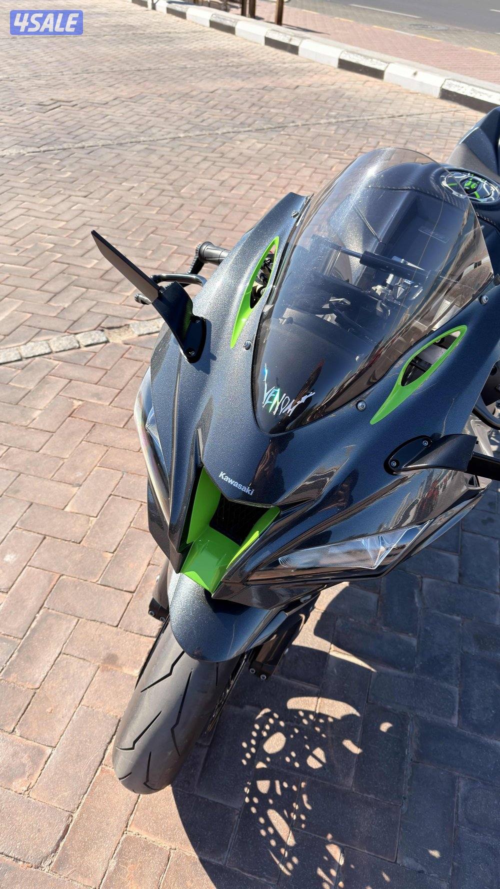 Kawasaki Ninja ZX-10R SE 20196