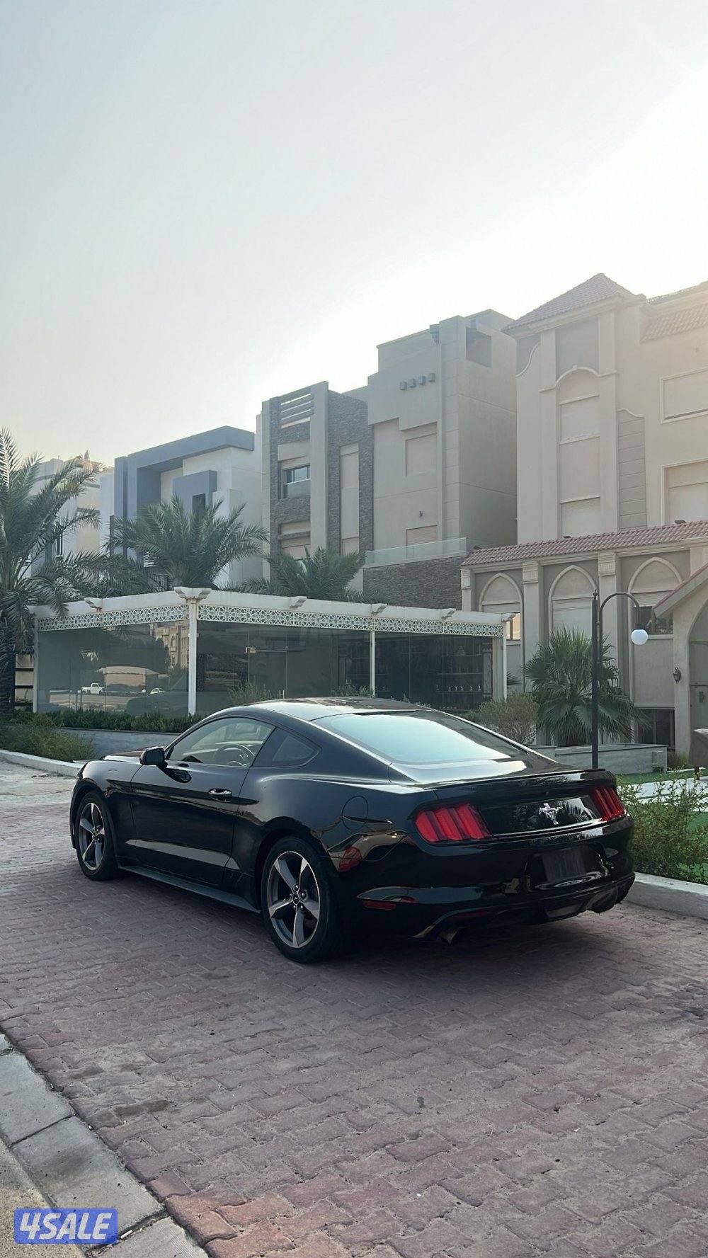 للبيع موستنق 20161