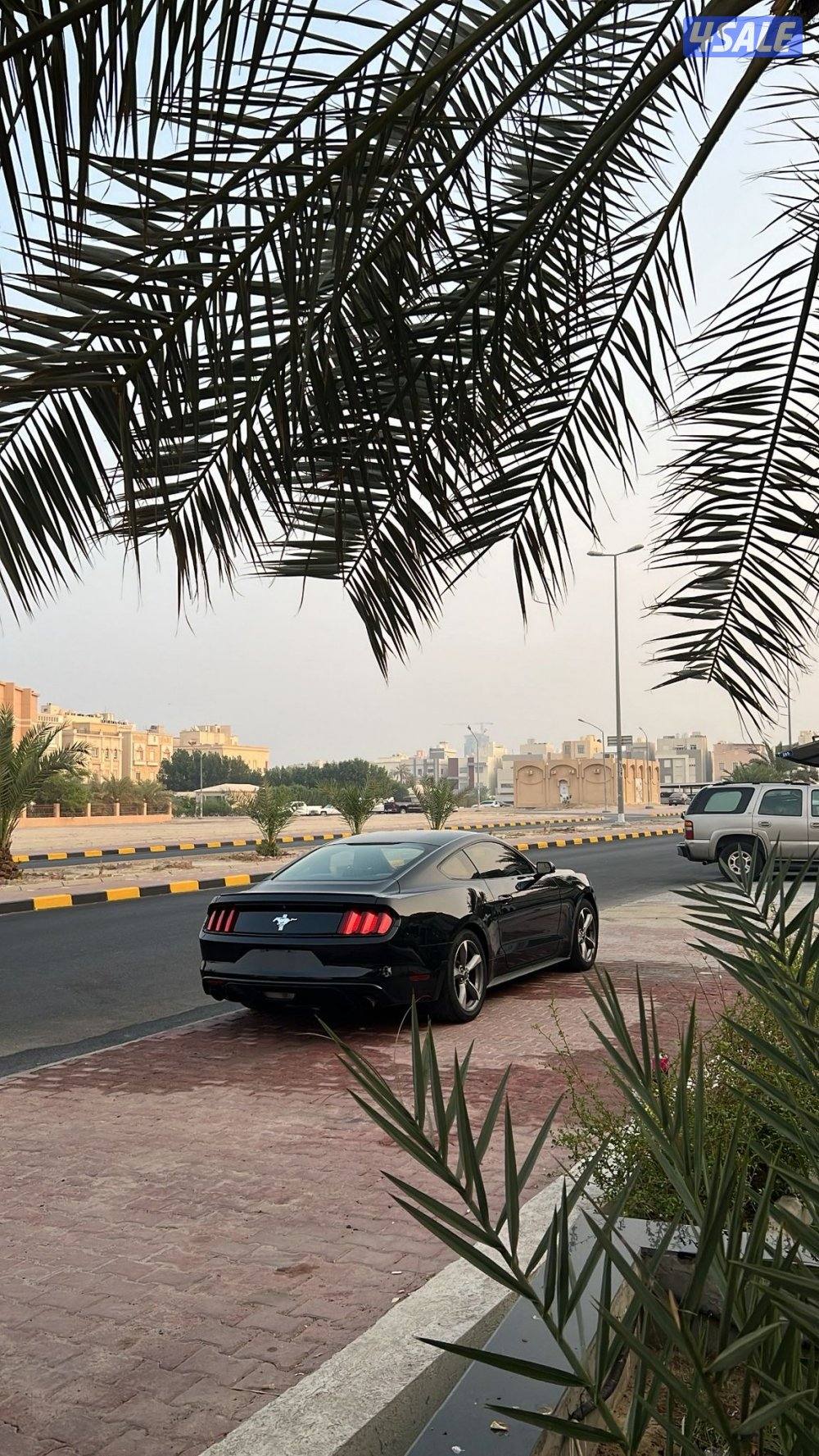 للبيع موستنق 20163