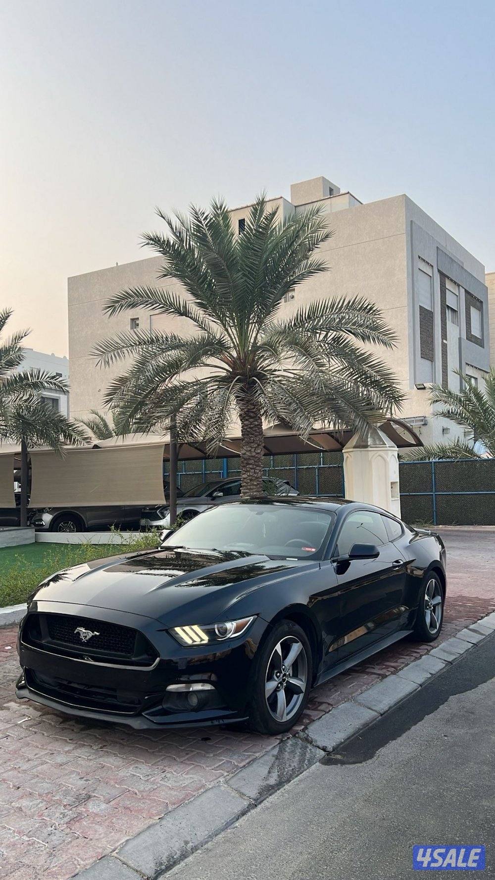 للبيع موستنق 20164