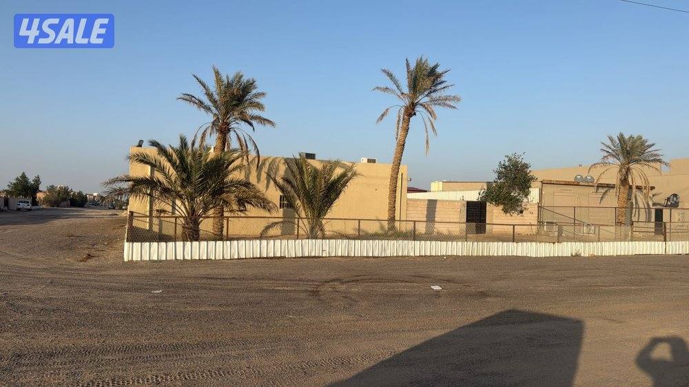 الجاخور 12500