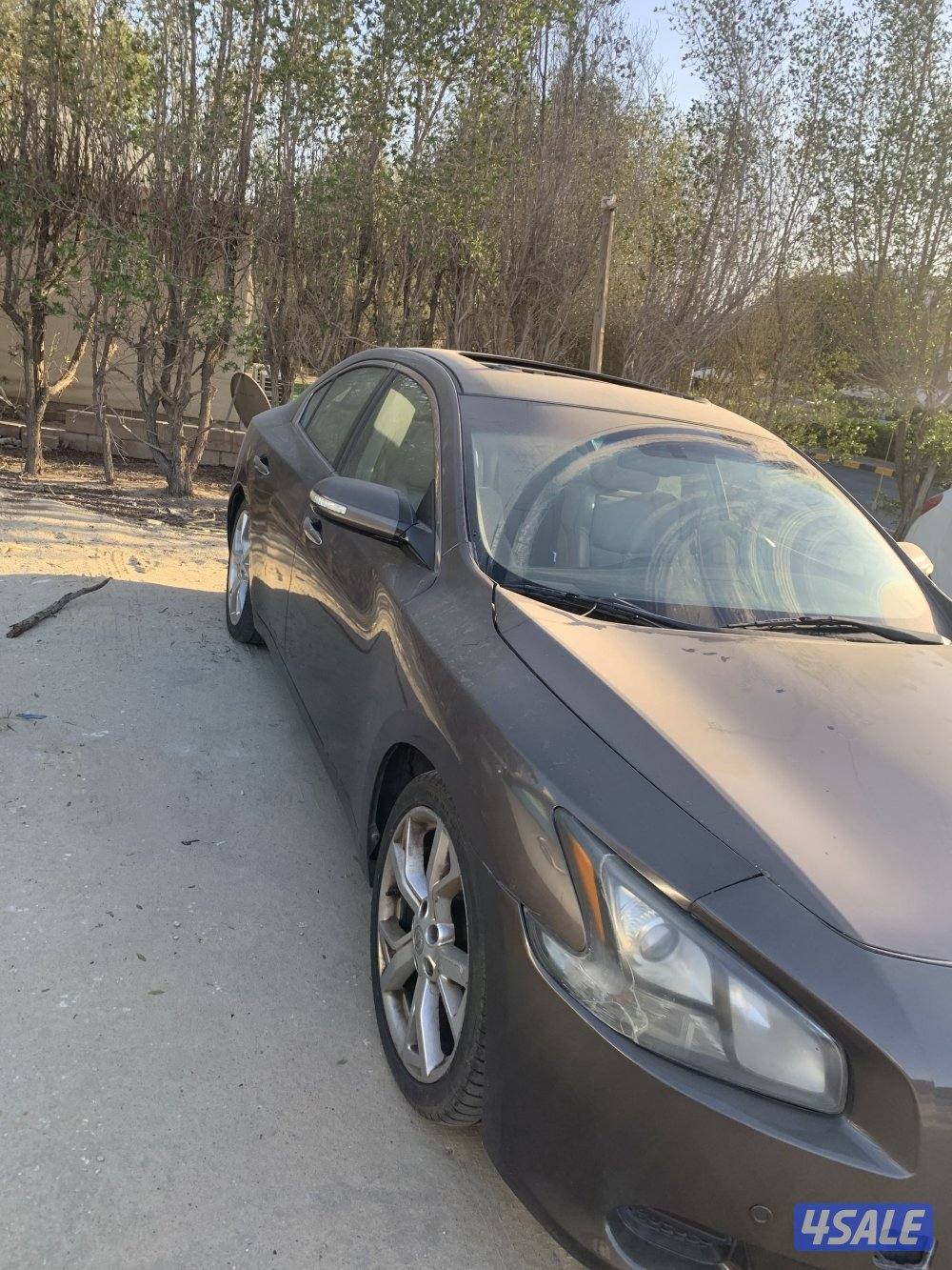 مكسيما ٢٠١٢0