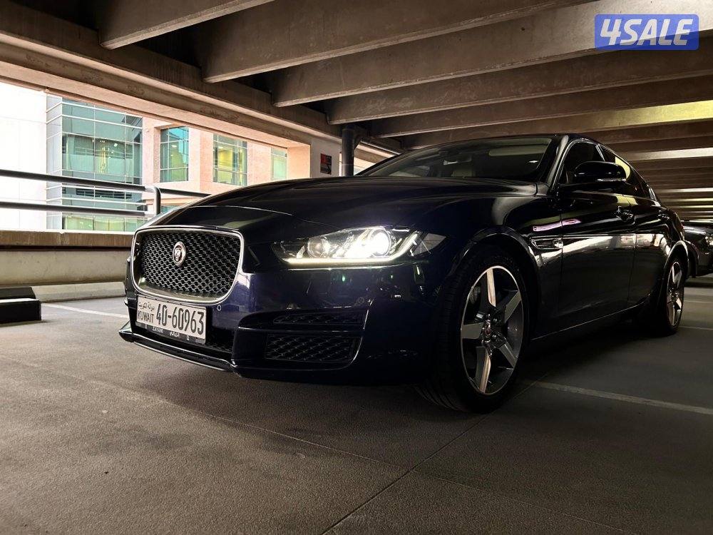 للبيع للحادين شرط الفحص3