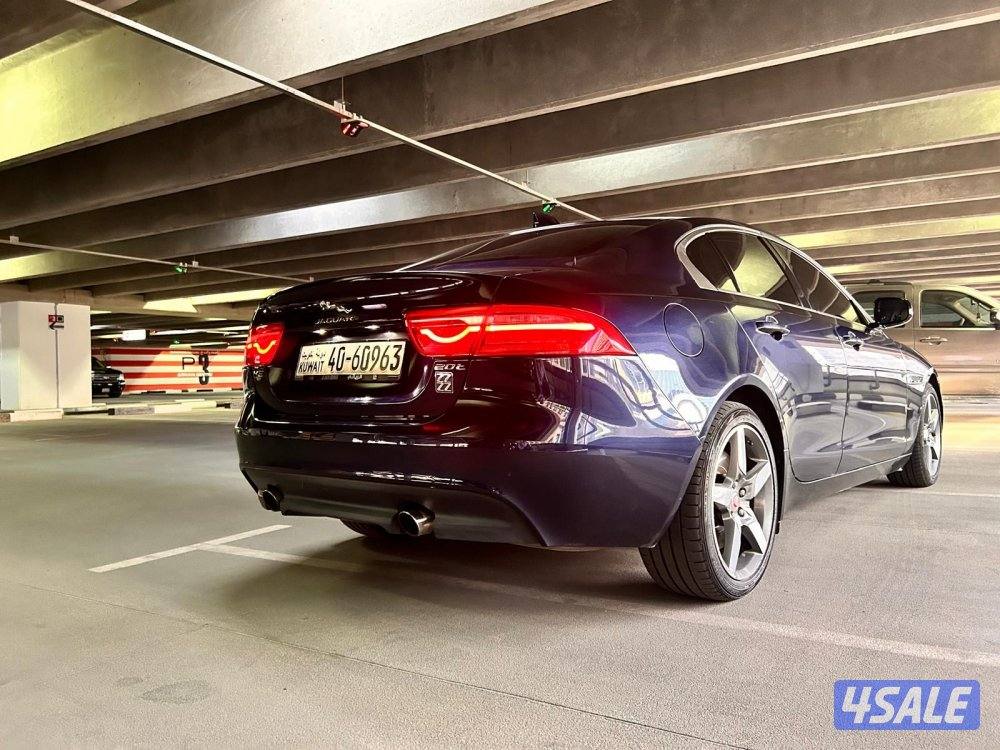 للبيع للحادين شرط الفحص6