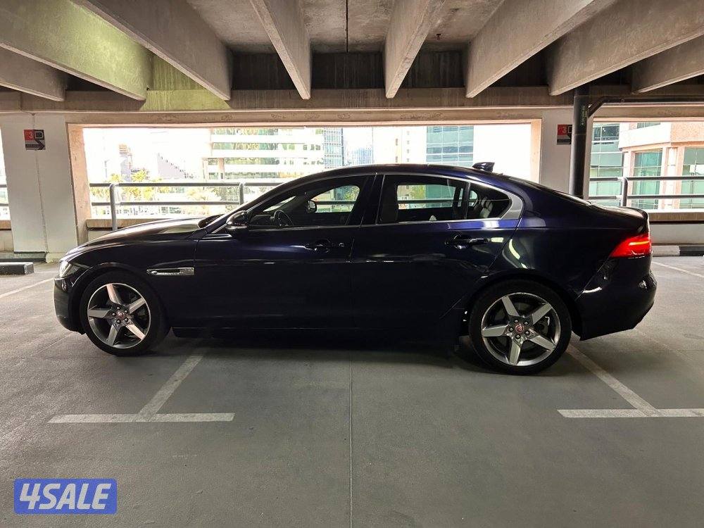 للبيع للحادين شرط الفحص9