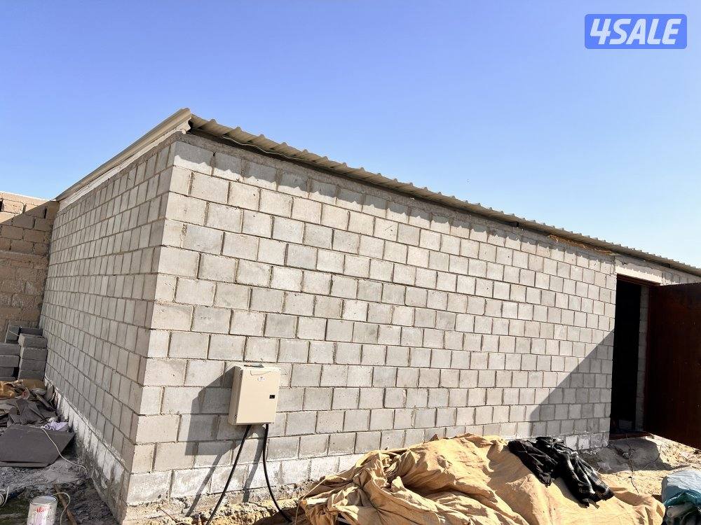 هندى على حداد10