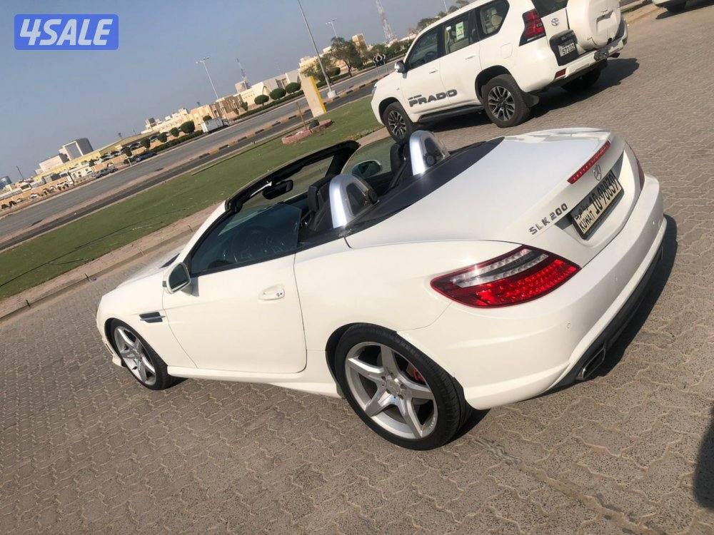 سالميه ق ١٢11