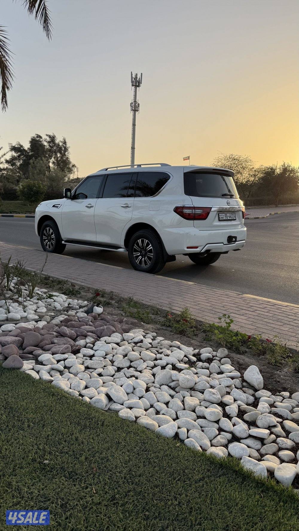 SE صبغ وكاله3