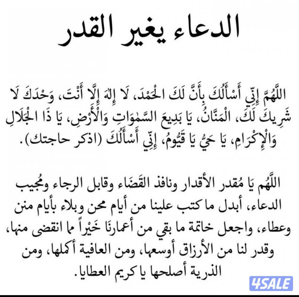 مستعدة توصيل موظفات وطالبات0