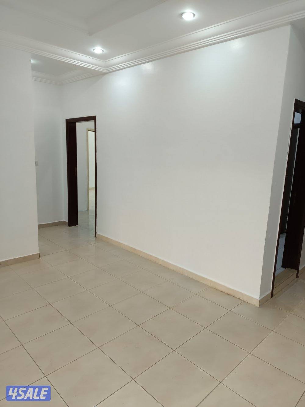 شقه للايجار10