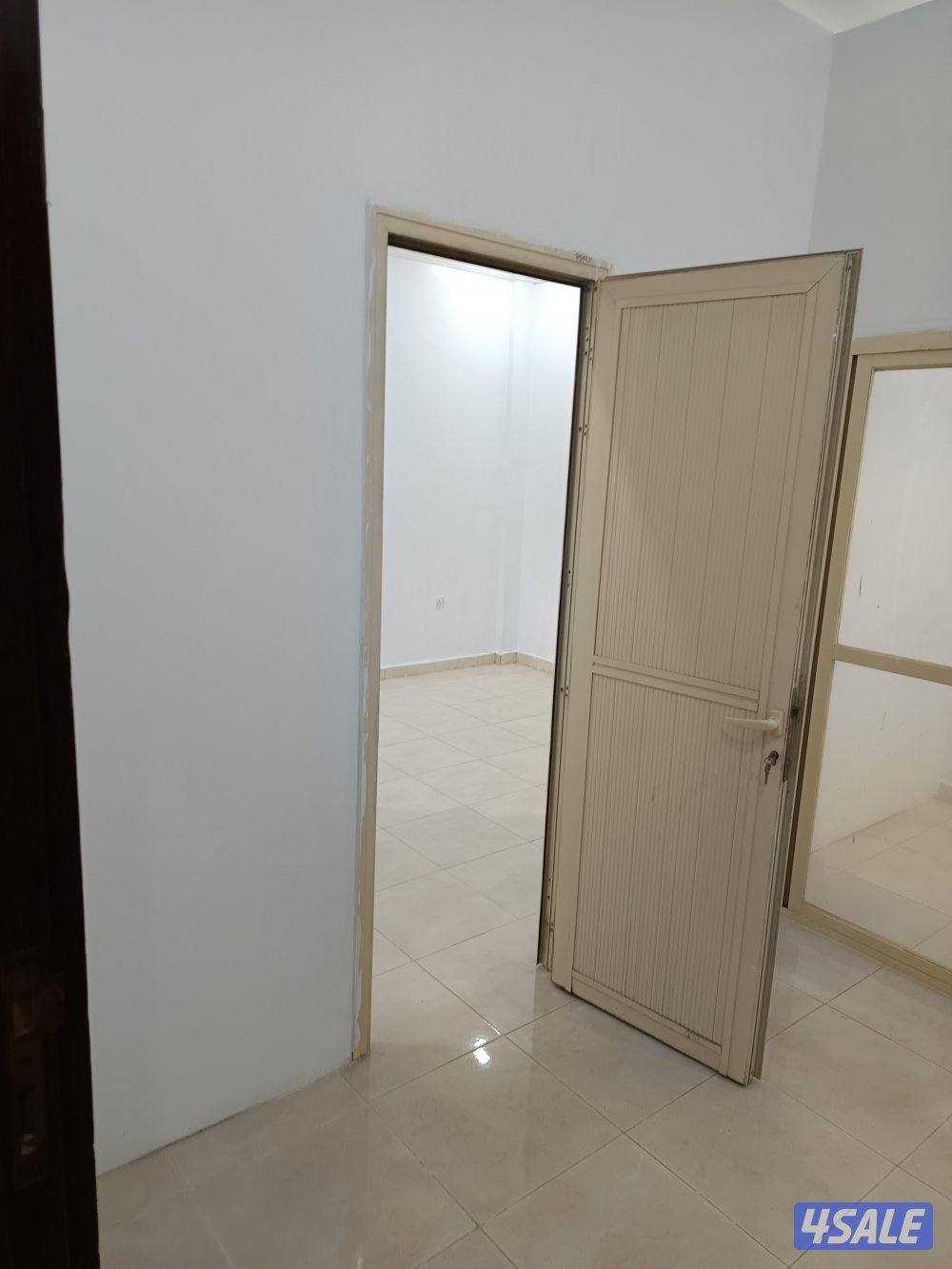 شقه للايجار14