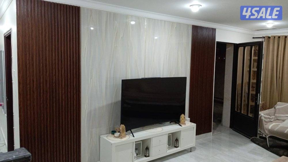 اصباغ ابو ملك1