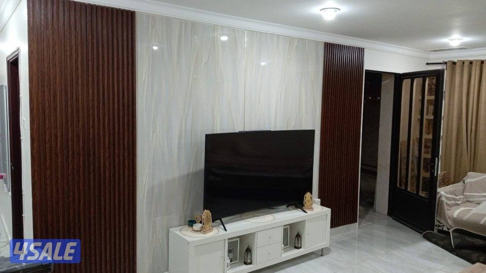 اصباغ ابو ملك1