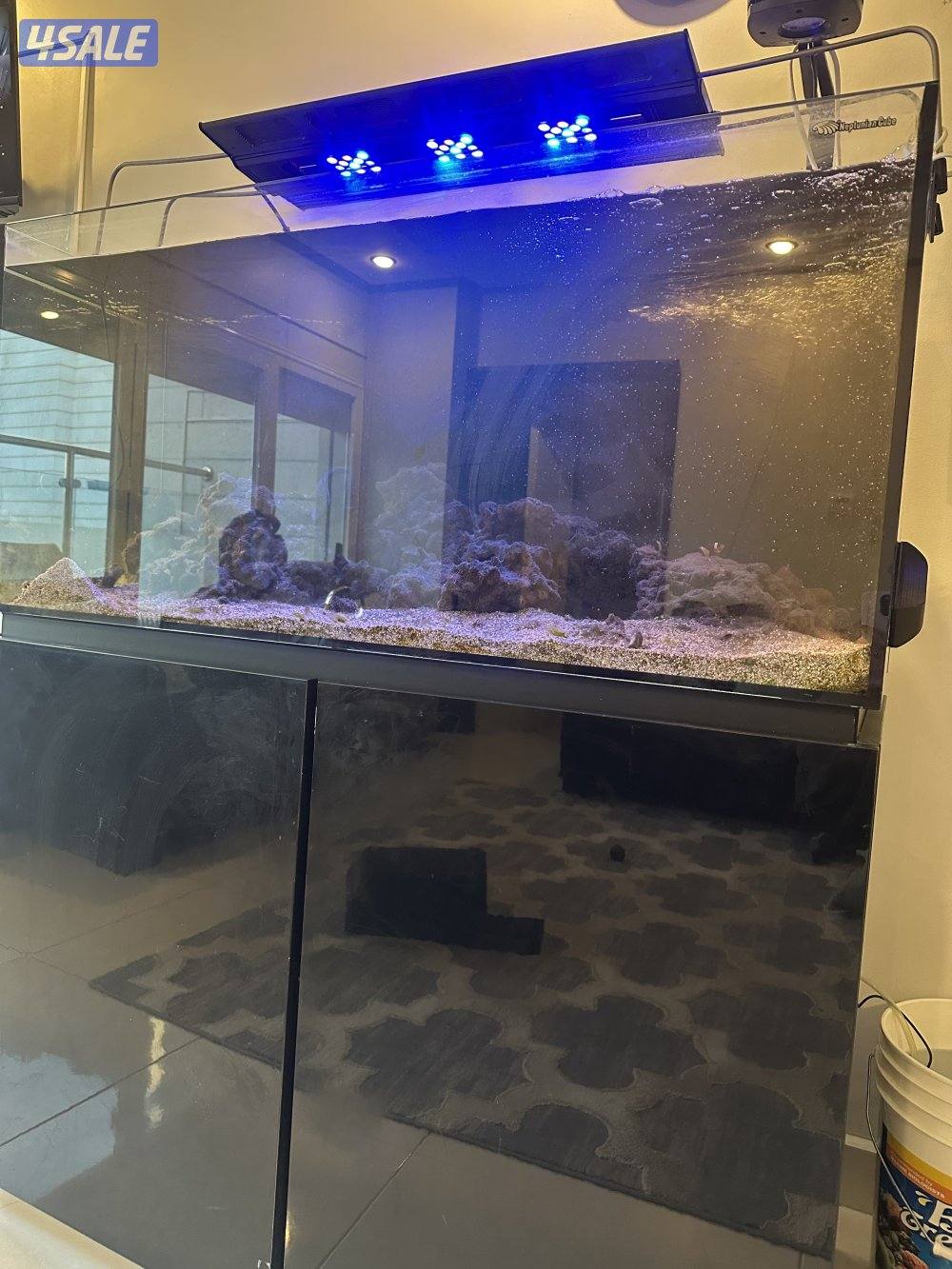 للبيع حوض سمج بحري3