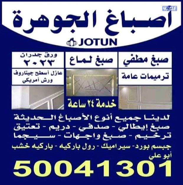 اصباغ أنور الحسين0