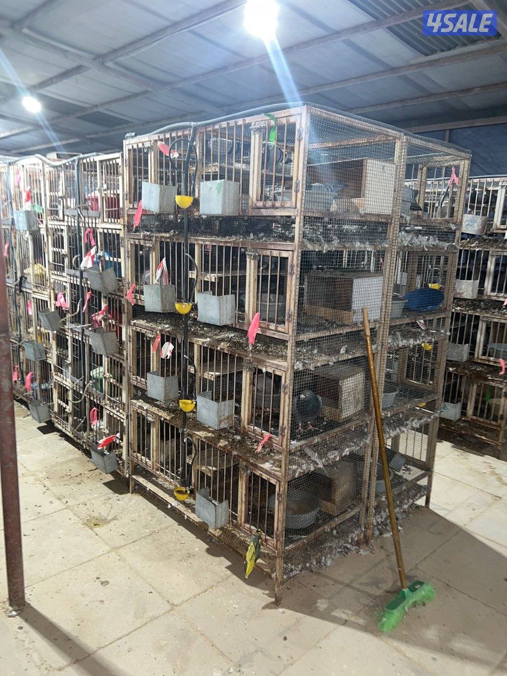 مشروع زاجل ولاحم فوق ٤٠٠٠ زوج0