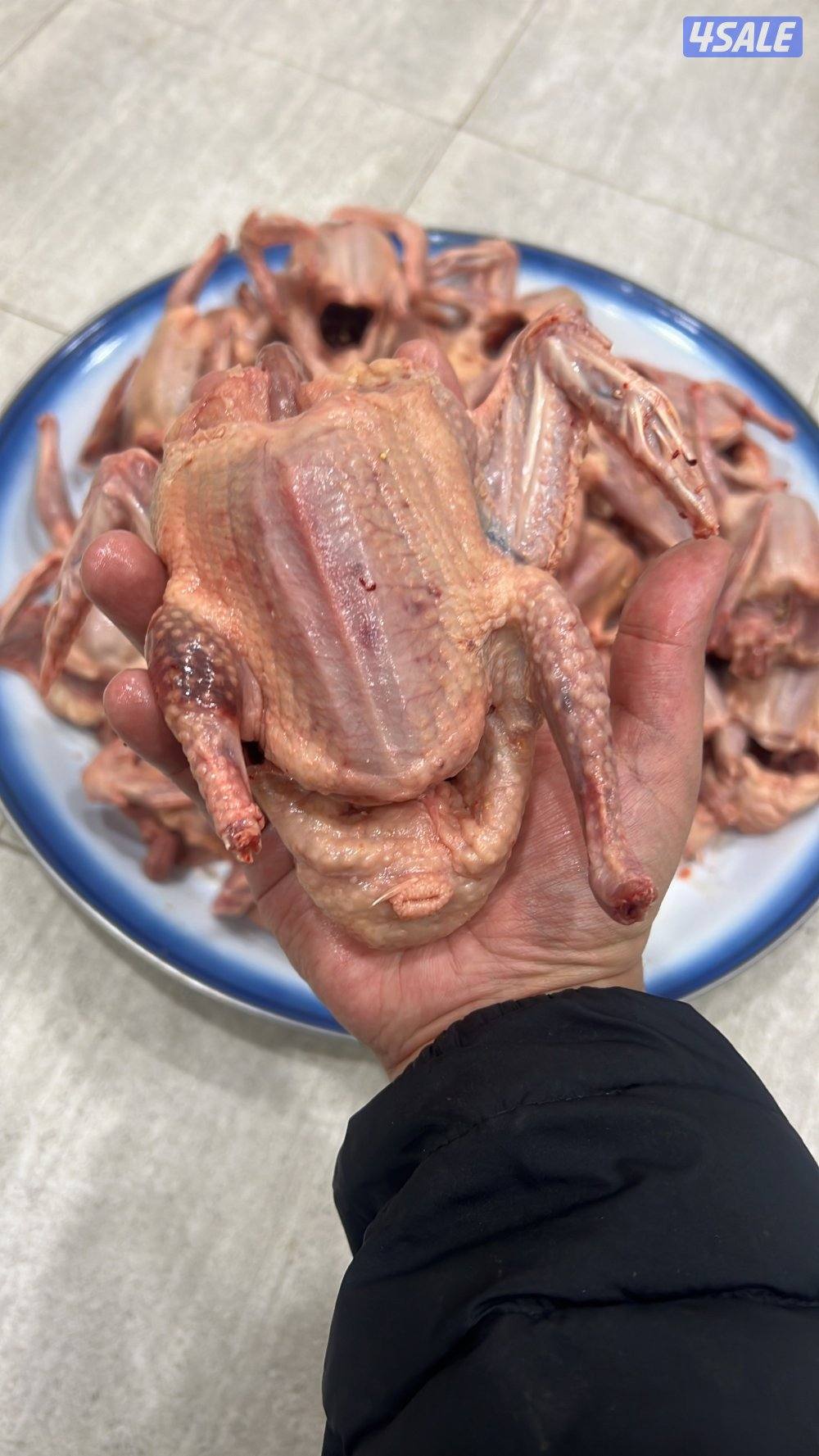 حمام لاحم بيور للاكل0