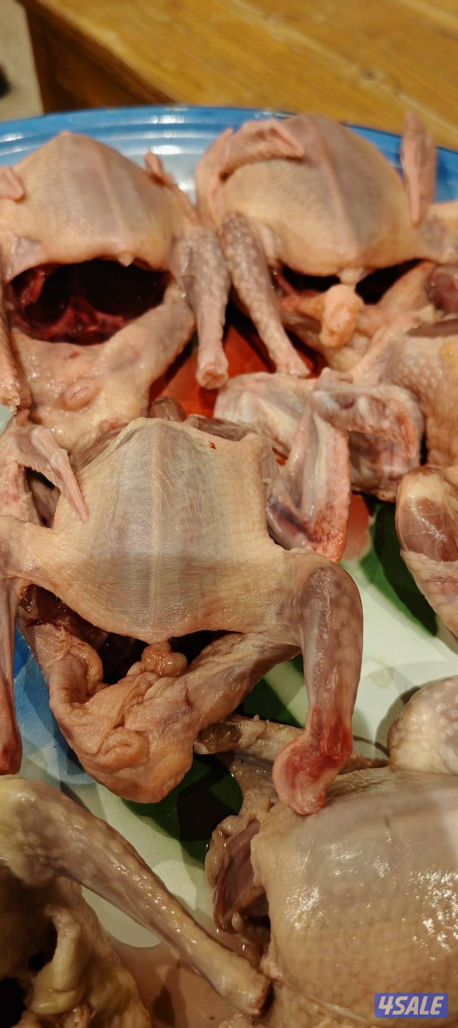 حمام لاحم بيور للاكل1