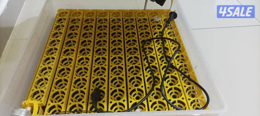 فقاسة صيني مستعمله0