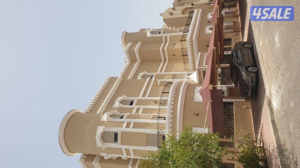 اصباغ بشره خير14