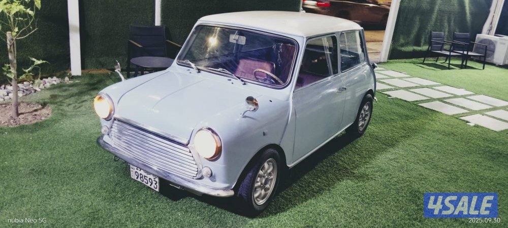 Mini copper 19760
