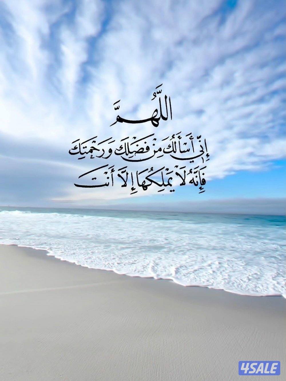 دوانيه باسطبلات الفروانيه0