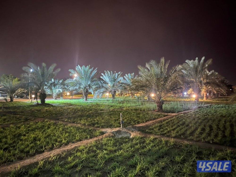 متوفره من اليوم6