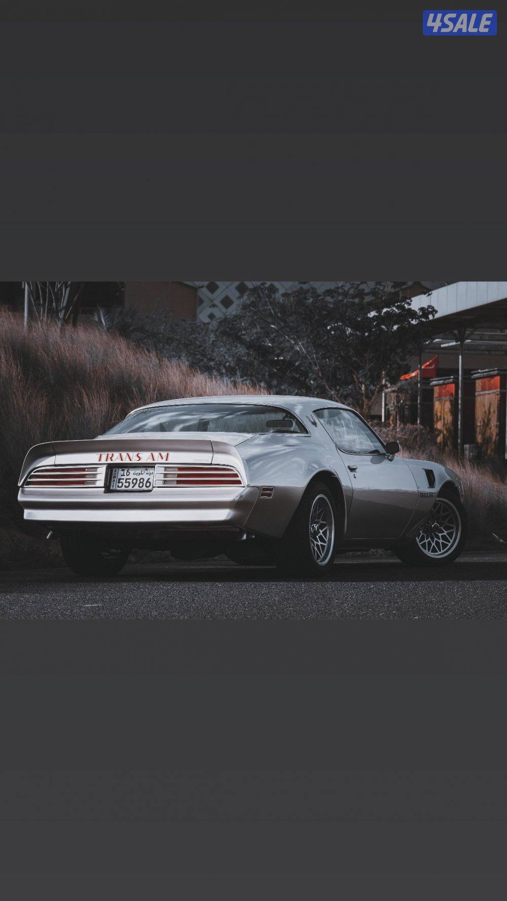 ترانز ام 19773