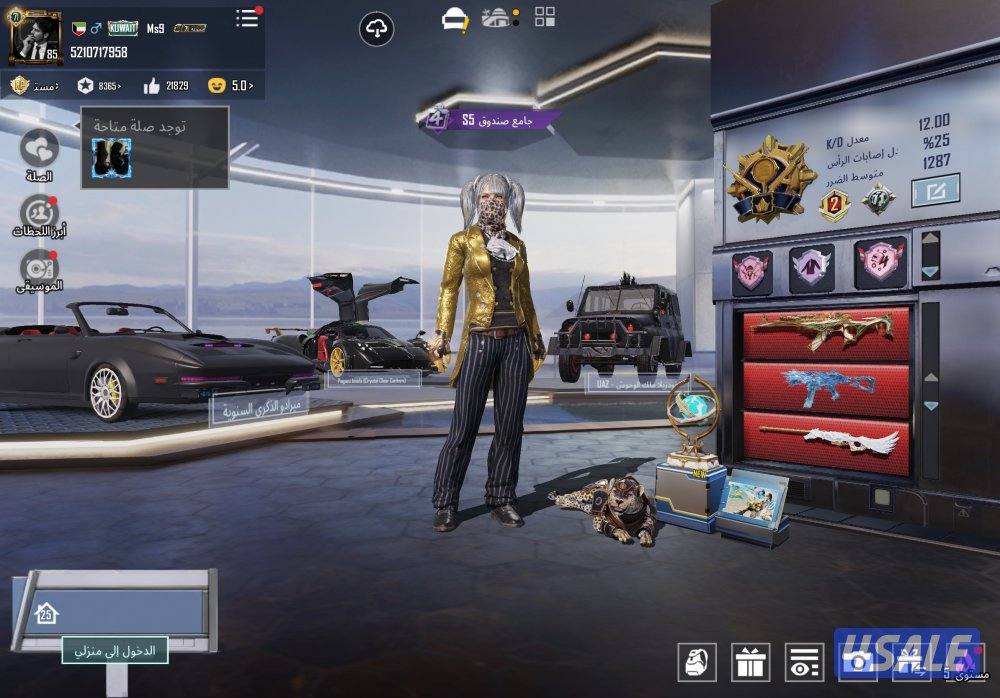 للبيع حساب ببجي3