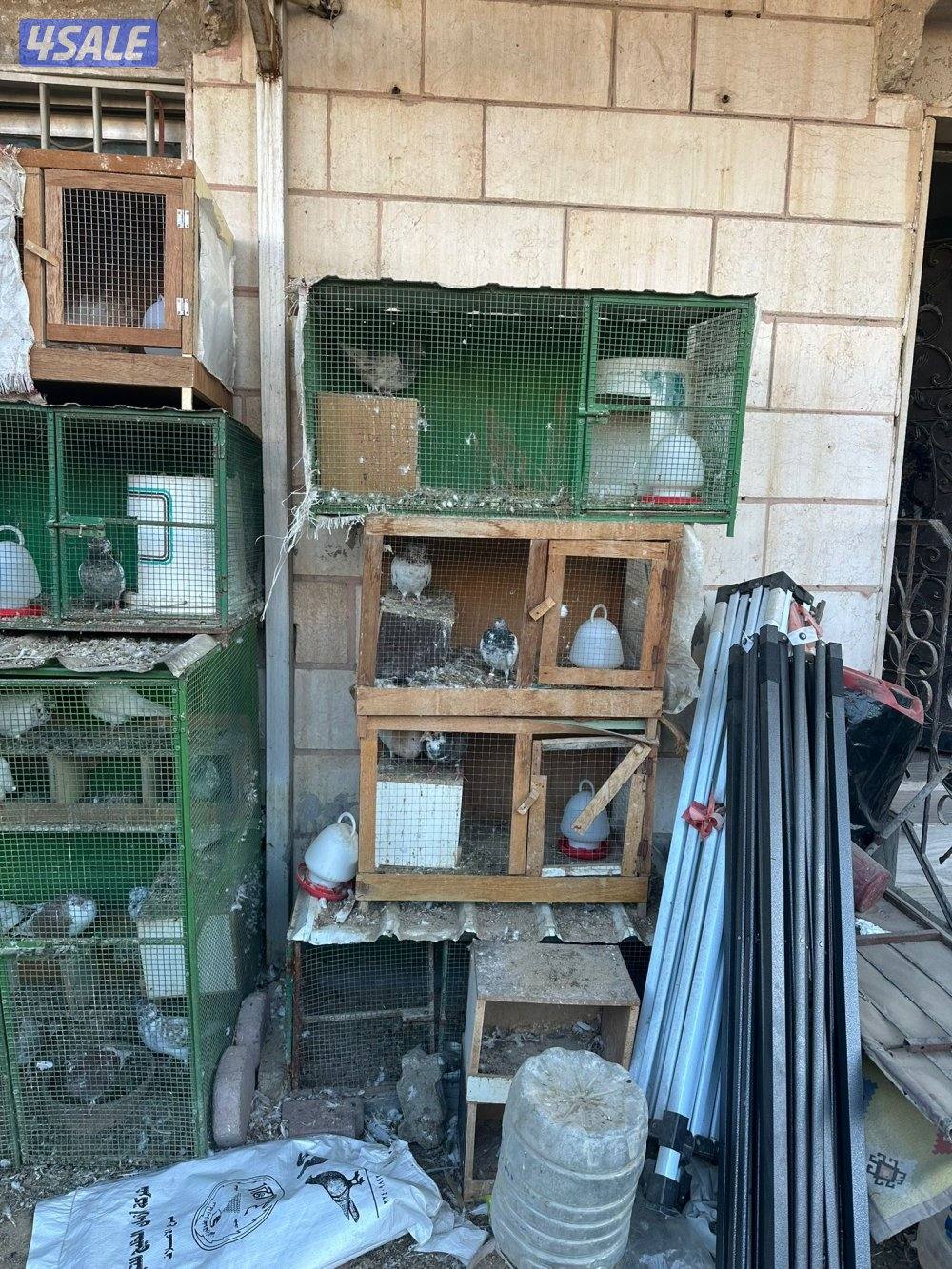 خانات حمام معى الحمام معى الشبك.4