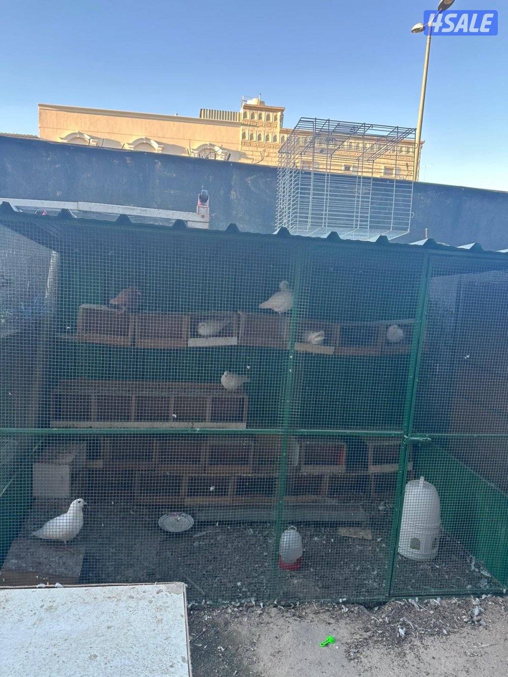 خانات حمام معى الحمام معى الشبك.0