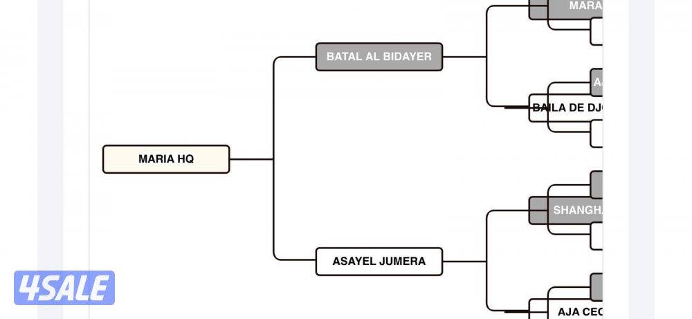 فرس مكس بنت بطل البداير2