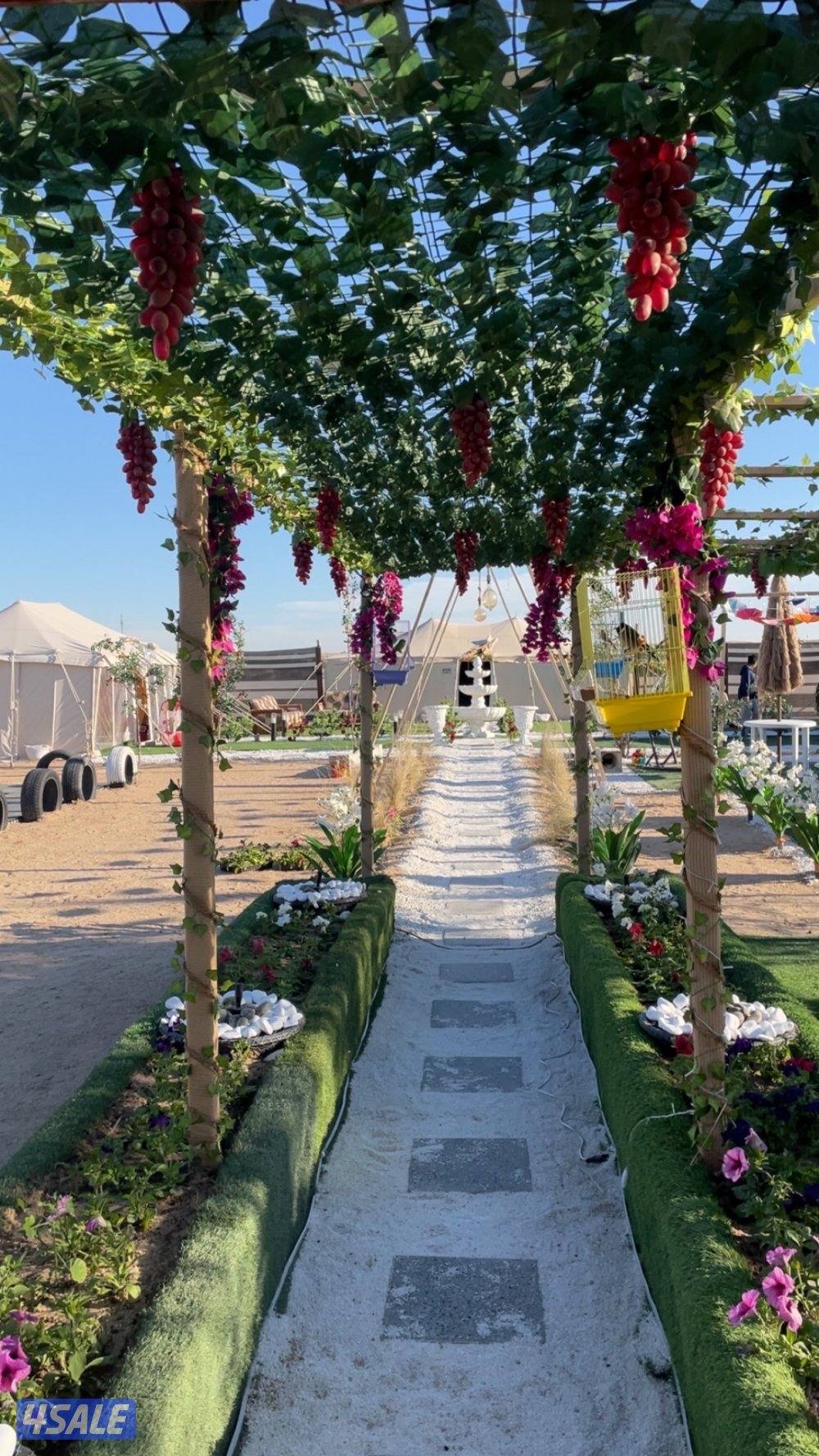 تاجير مخيم بالمطلاع كيلوصفر قريب من الخدمات مخيم VVib12