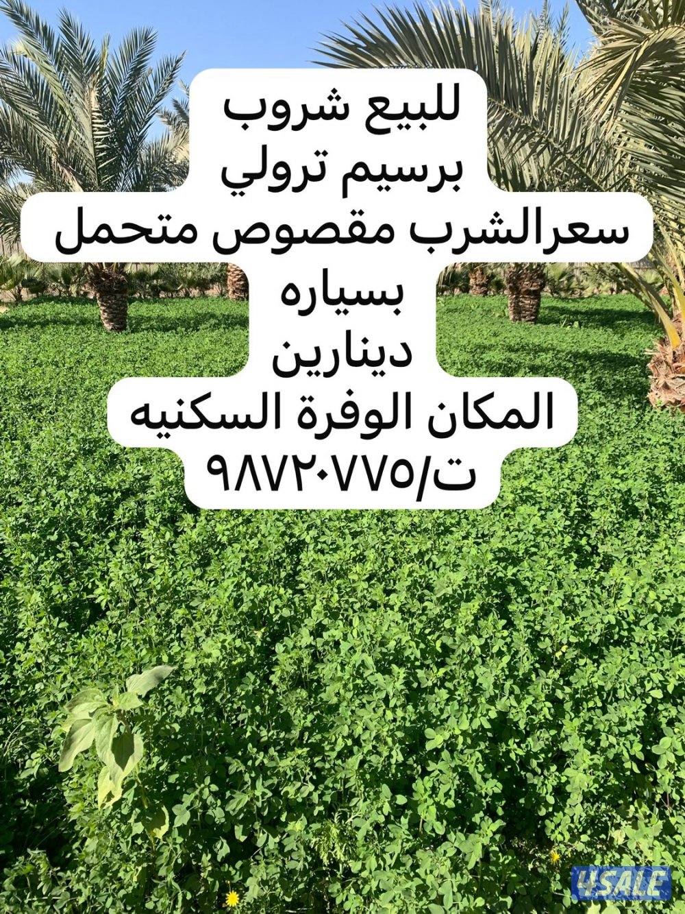 مزرعه الوفرة السكنيه0