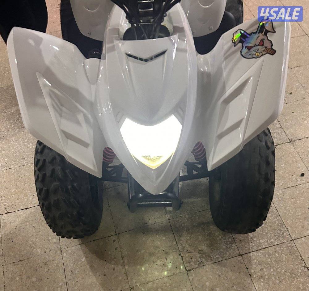 للبيع بقي ايجل تايواني3