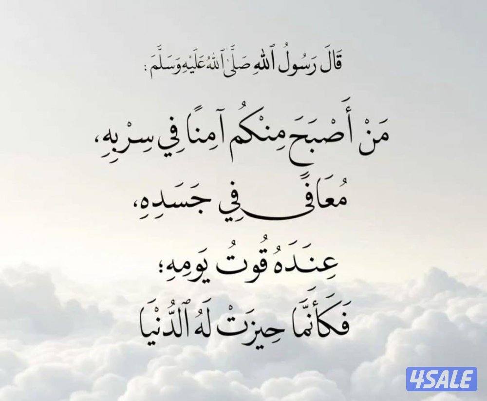 English Teacher For University Levels1