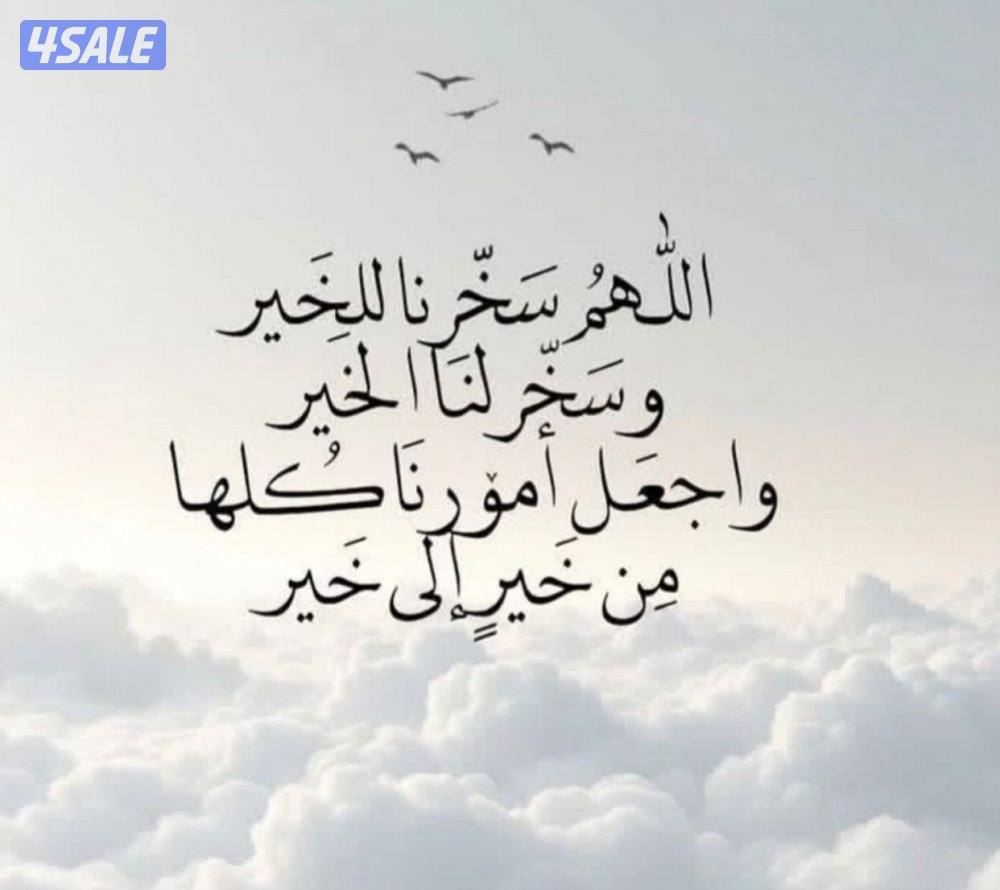 English Teacher For University Levels3